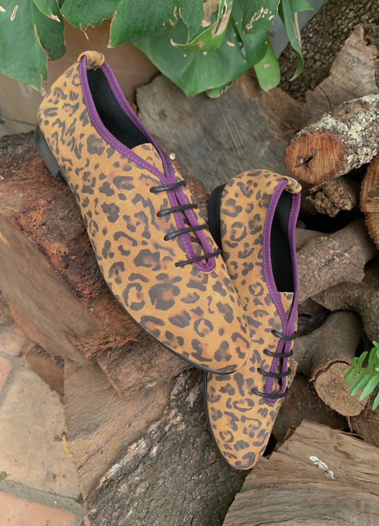 Zapato Edy by Mr. Velous