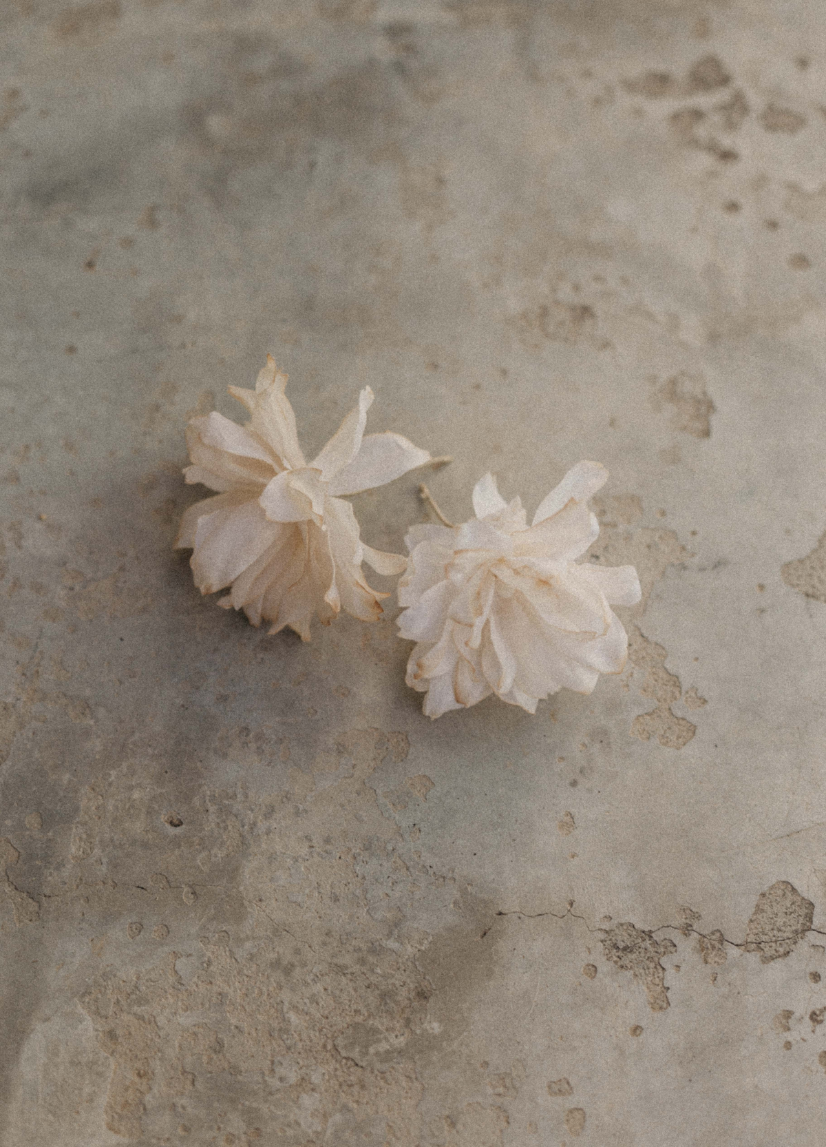 Tocado de flores Nerina - imagen 8