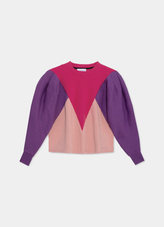 Robin Tricolor Sweatshirt