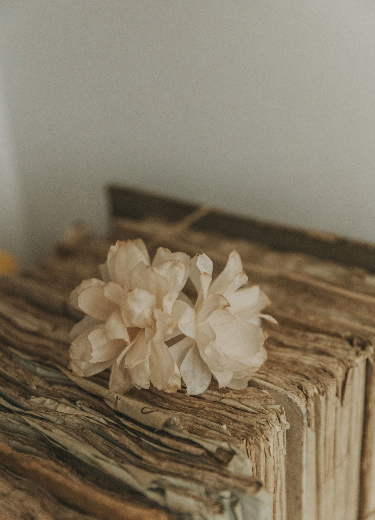 Tocado de novia Nerina - imagen 3